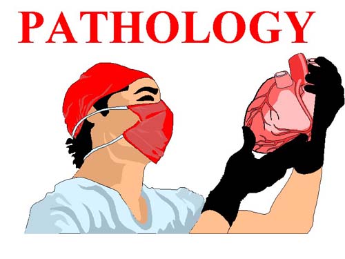 Патологічна анатомія